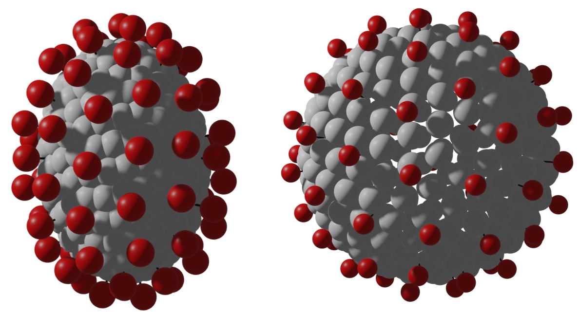 covid_pleomorphism.jpg