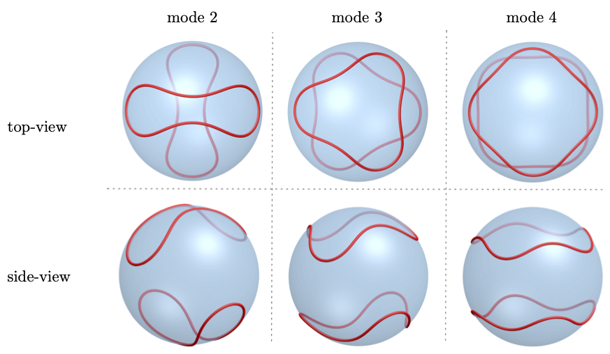 curves_on_sphere.png