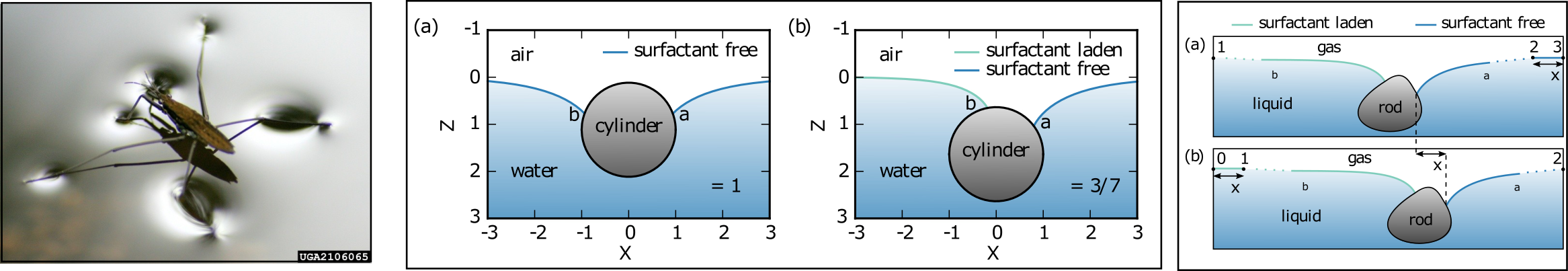 surface_tension.png